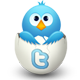 Zindy Twitter