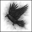 Skybound Raven by Zindy