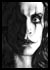 The Crow