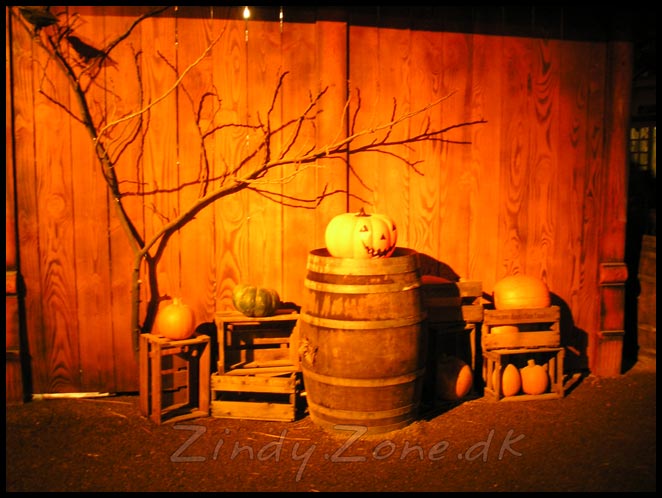 Halloween Setup