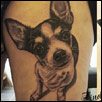 Chihuahua Dog Tattoo Zindy