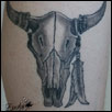 Cow Skull  Tattoo ZindyInk