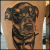 Cute Dog Tattoo Portrait Zindy