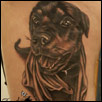 Dog Portrait Tattoo Zindy Ink