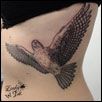 Falcon Bird  Tattoo ZindyInk