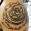 Rose on shoulder Tattoo Zindy