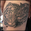 Tiger Couple  Tattoo ZindyInk