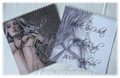2009 Calendars, ZindyZone
