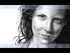 Evangeline Lilly Wallpaper