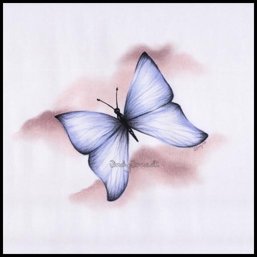 The Buttefly
