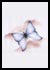 The Butterfly
