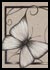Butterfly of August