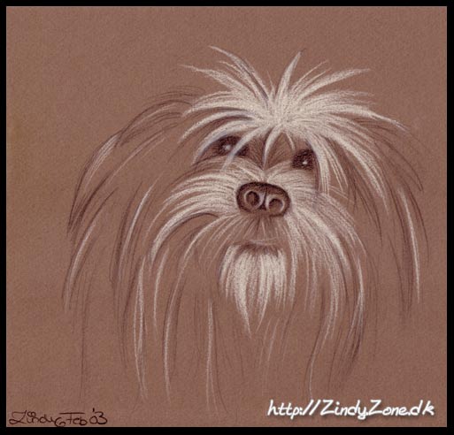 Gizmo