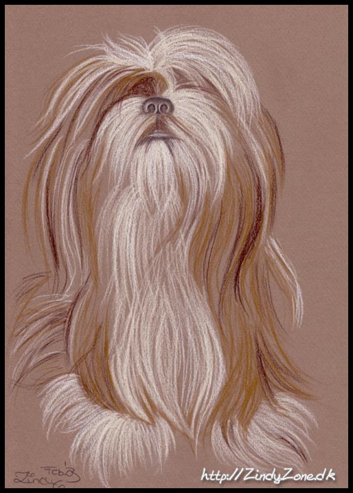 Gizmo