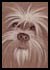 Gizmo