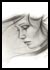 tears in the wind