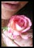 The Rose