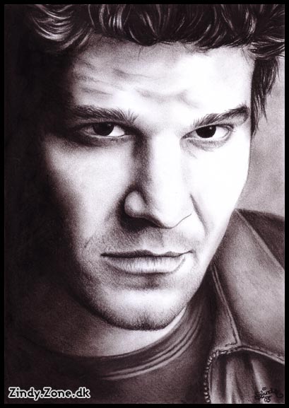 David Boreanaz
