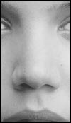 Nose Tutorial Original