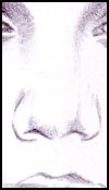 Nose Tutorial Step 1
