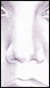 Nose Tutorial Step 2