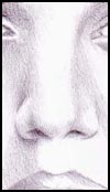 Nose Tutorial Step 3