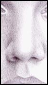 Nose Tutorial Step 5