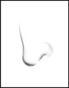 Nose Tutorial Step 2