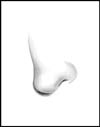 Nose Tutorial Step 4