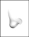 Nose Tutorial Step 5