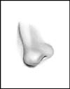 Nose Tutorial Step 6