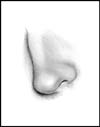 Nose Tutorial Step 7