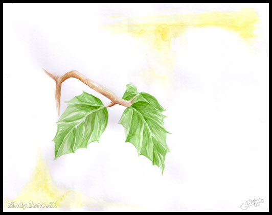 Leafs