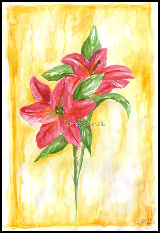 Lilies