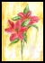 Pink Lilies