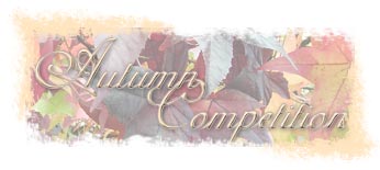 Autumn ZindyZone Competition