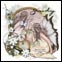 Christene Fairy Tag ZIndy